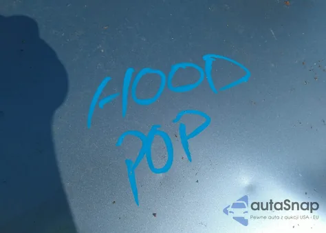 2019 Subaru Crosstrek 2.0I Premium z USA, uszkodzony, nr VIN JF2GTAEC3KH216039